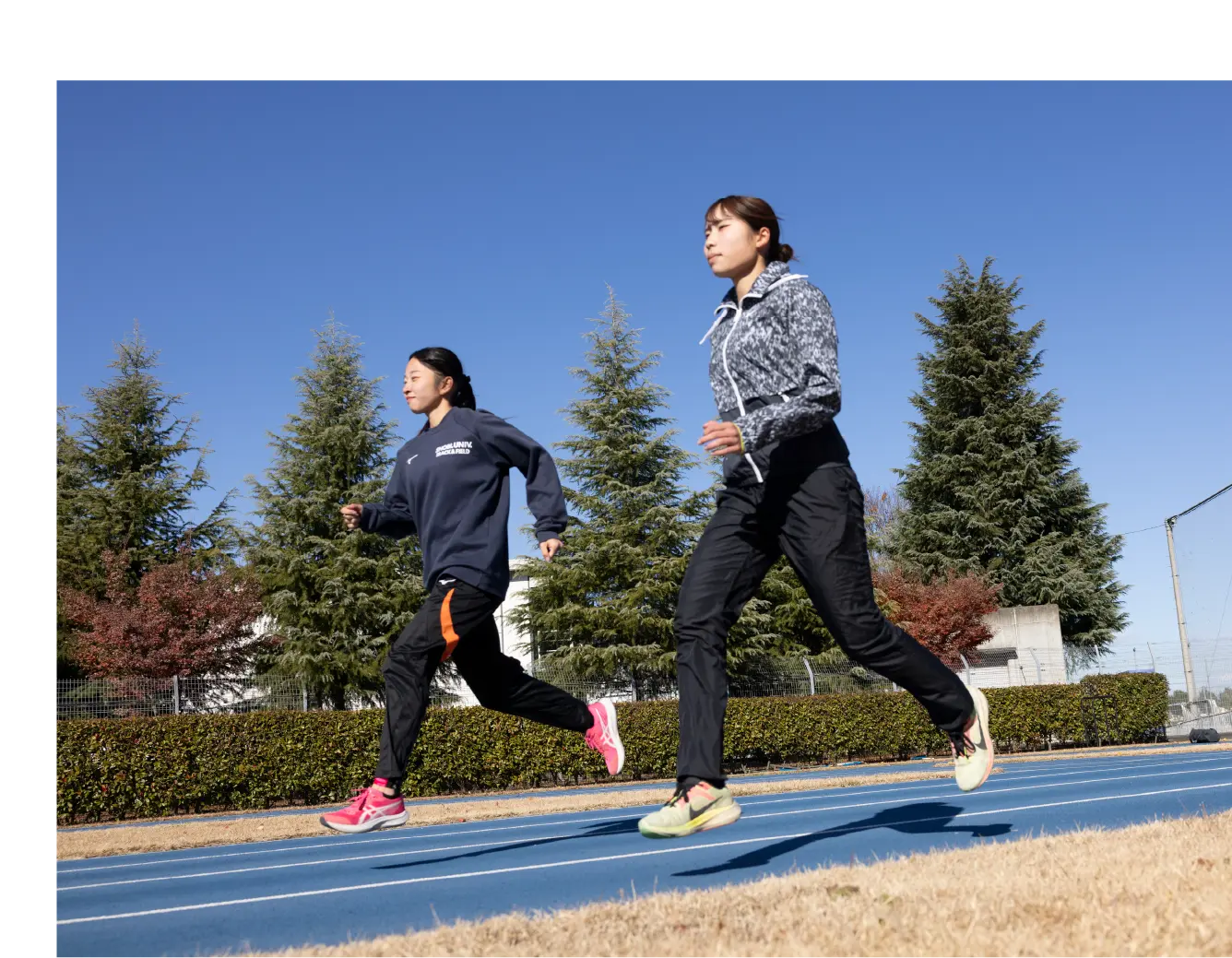 スポーツマネジメント学科