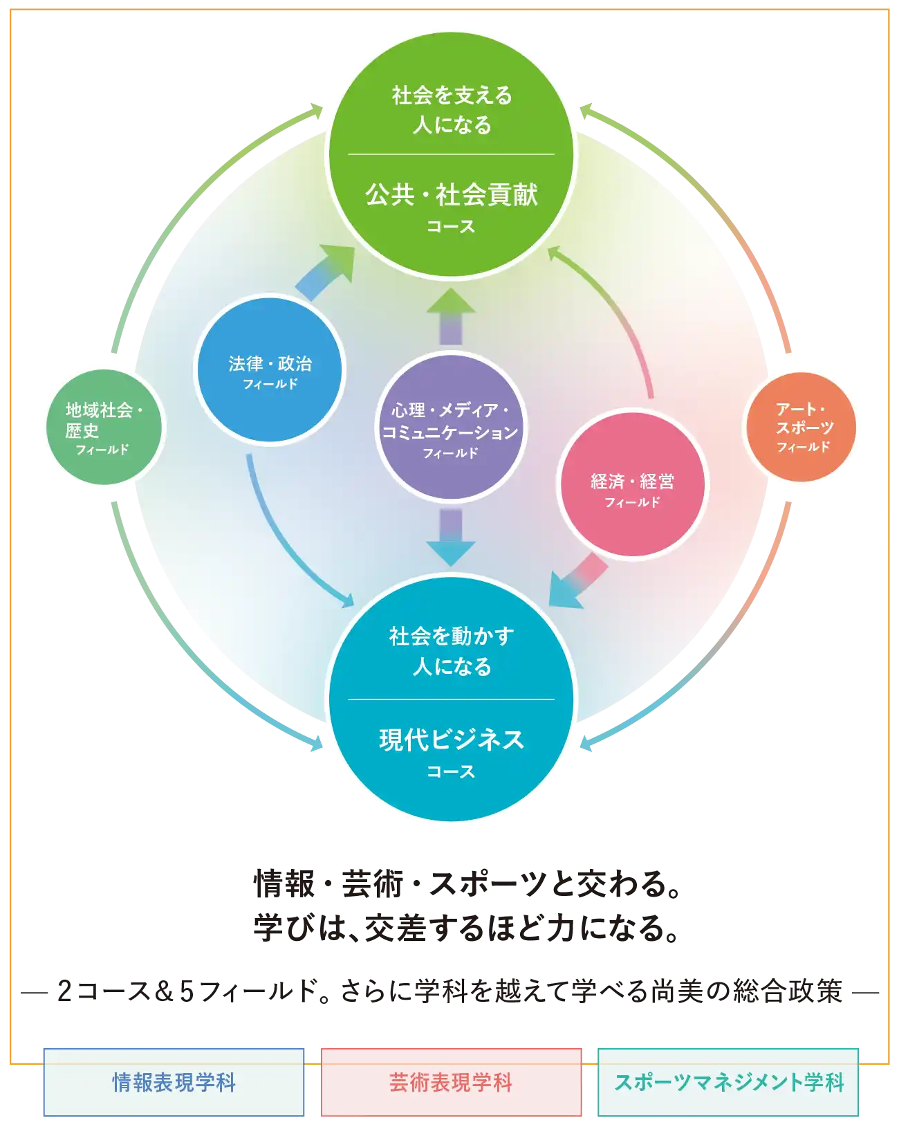 情報・芸術・スポーツと交わる。学びは、交差するほど力になる。２コース＆５フィールド。さらに学科を超えて学べる尚美の総合政策