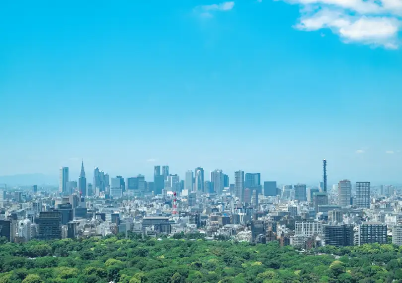 法律・政治コース