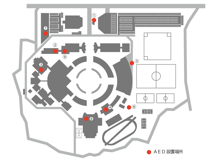 AED
