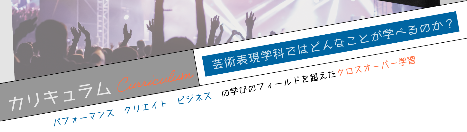 カリキュラム